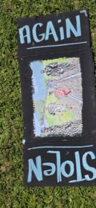 Invasion Day Rally Meanjin Brisbane 2026. Signs lay on the grass before the march. A cardboard sign painted black with blue chalk text says stolen again with a photo of a young person being arrested.